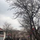 에덴주유소 이미지