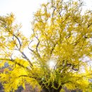 예쁘다 경주 이미지