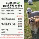Hi - 도그 | 김포 반려견 핫플 6선 – 강아지랑 함께 떠나는 추억여행