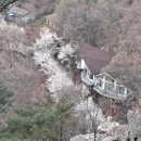 양평밸리관광펜션 이미지