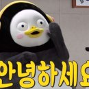 춘천 마스코트 감자, 감자가 있는 카페 나우앤댄 후기