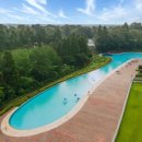 숲속골프 이미지