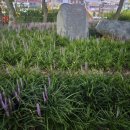 거북선공원2길 이미지