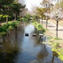 상동시민의강 이미지