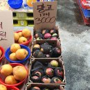 푸른산 | 늘푸른야채: 내돈내산 과일과 야채가 저렴한 신원시장 과일야채가게(ft.애플망고 3천원)