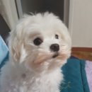 빈이랑은이랑 네이버블로그