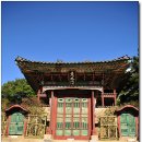 영화당 Daum카페