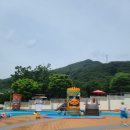 스프링폴 이미지