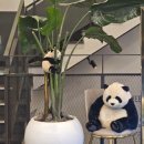 투썸플레이스(김해대로점) 이미지