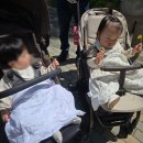 비481 | 478-481일 아기와 명절같았던 즐겁고도 긴 연휴 육아 끝!