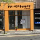 몽언니애견미용실 | 대구 남구 대명동 '몽언니' 삼각지 귀여운 비숑 연두가 있는 애견미용실 놀이방 머드팩 아로마테라피...