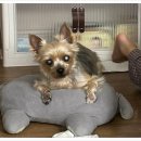 늘봄 그루밍 이미지