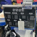 [노량진 수산시장] 온양상회 방어 / 강남상회 대게 / 오군분식 튀김
