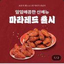 교촌치킨 신메뉴 마라레드윙박스 가격 칼로리 마라레드 솔직한 후기