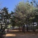 🍂 BYE BYE, 구룡숲! 🍂🐿️ 이미지