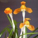 (주)금화 이미지