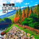화명 지하철역 | 화명수목원 단풍 보러 부산 가을 나들이 가볼만한곳 산책 후기