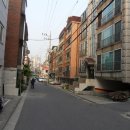 신사동-14 이미지