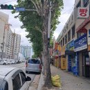 신암보성마트 이미지