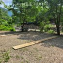 가평오토캠핑장 유명산258오토캠핑장 후기