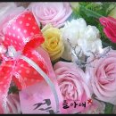 뜰아래플라워 이미지