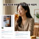 내 몸을 웃게하는 산야초(기초) | 무의식이 지배하는 위장 건강, 발효 제품의 배신과 생강효소의 '천군만마' 효과