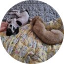 아요하우스 이미지