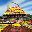 홍삼천국 이미지