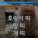 2016년 삼재띠와 풀이 이미지