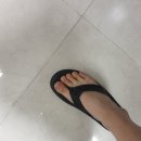 더현대서울톰그레이하운드 이미지