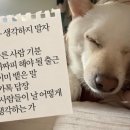 바다는잘있습니다