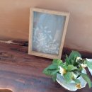 아원산방 이미지