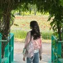 15 | 아크테릭스 헬리아드 15 핑크 글로우 후기 착용샷 여자 데일리 백팩 추천