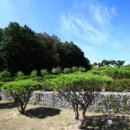 은하수공원 고객센터 이미지