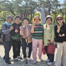 소풍 Daum카페