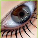 다인뷰티 이미지