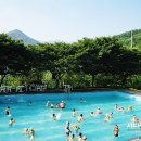 서당골농원 이미지