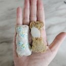 자이언트 PC방(2호점) | [분당반려동물수제간식] 애정가득 애견수제간식 다양한 종류가 있는 도그인dogin(드루와) 후기