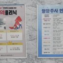 연세쿄앤원이비인후과의원 네이버블로그