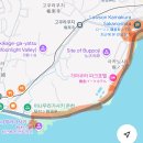 [D+232] 일본 도쿄 워킹홀리데이 도쿄워홀 - 난자타운 블루록 콜라보 / 이토시 형제 가마쿠라 성지순례...