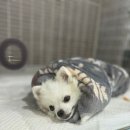 이솜동물병원 이미지