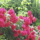 그대로 그렇게 이미지