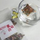 세라비픽 이미지