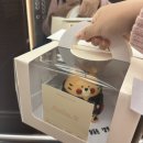 헤이크비 이미지
