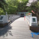 장안1교 이미지