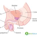 수영청담비뇨의학과의원 이미지