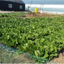 민화농장 이미지