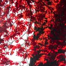 미륵송계로 이미지