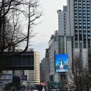 음봉어린이집 | 🏦 “증권사 가서 상담받아봤다” — 나 같은 사람도 받아줄까? 하는 마음으로 가본 후기✍️