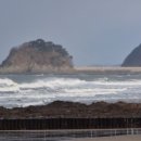 꽃지아일랜드 이미지